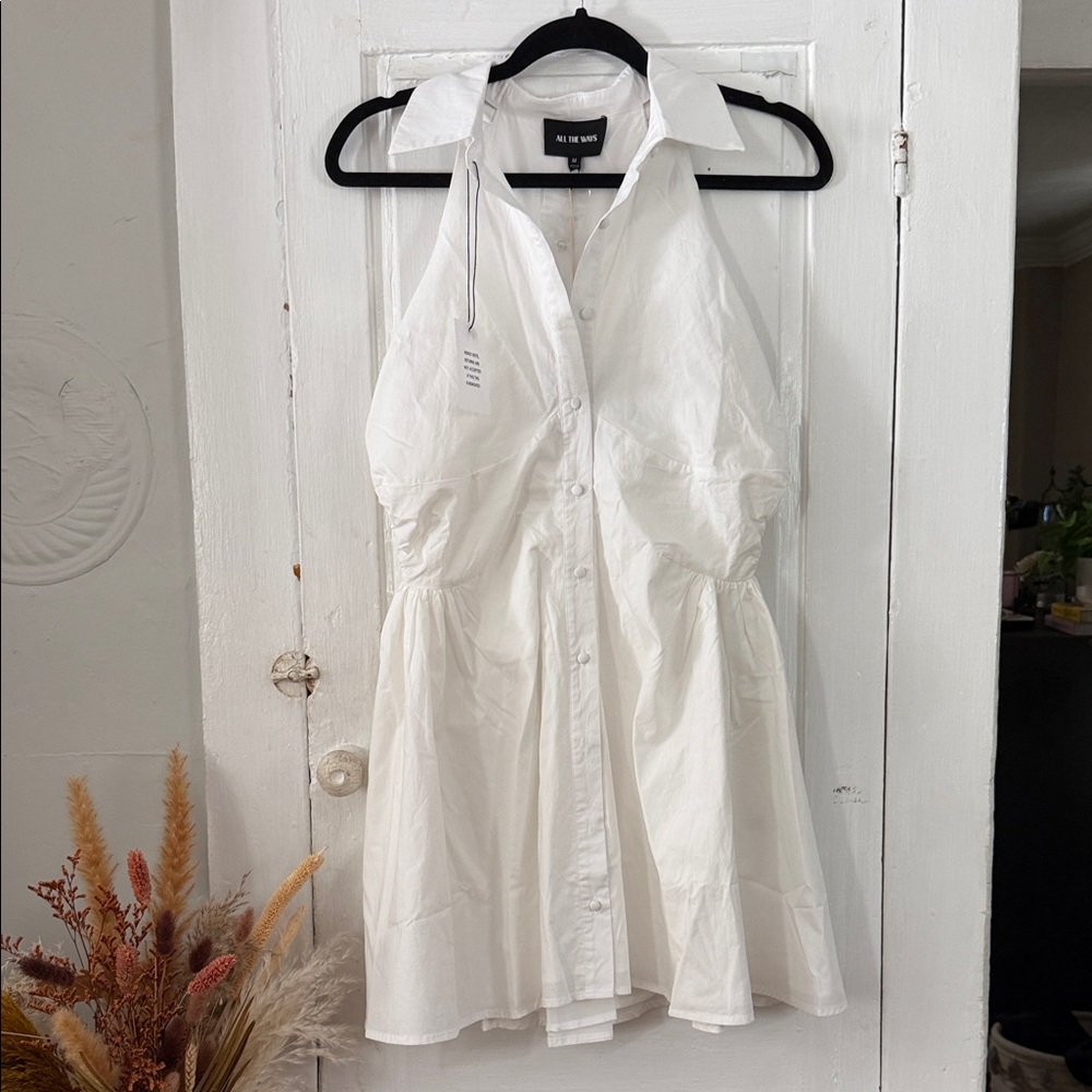 NWT All The Ways Brynn Mini Dress